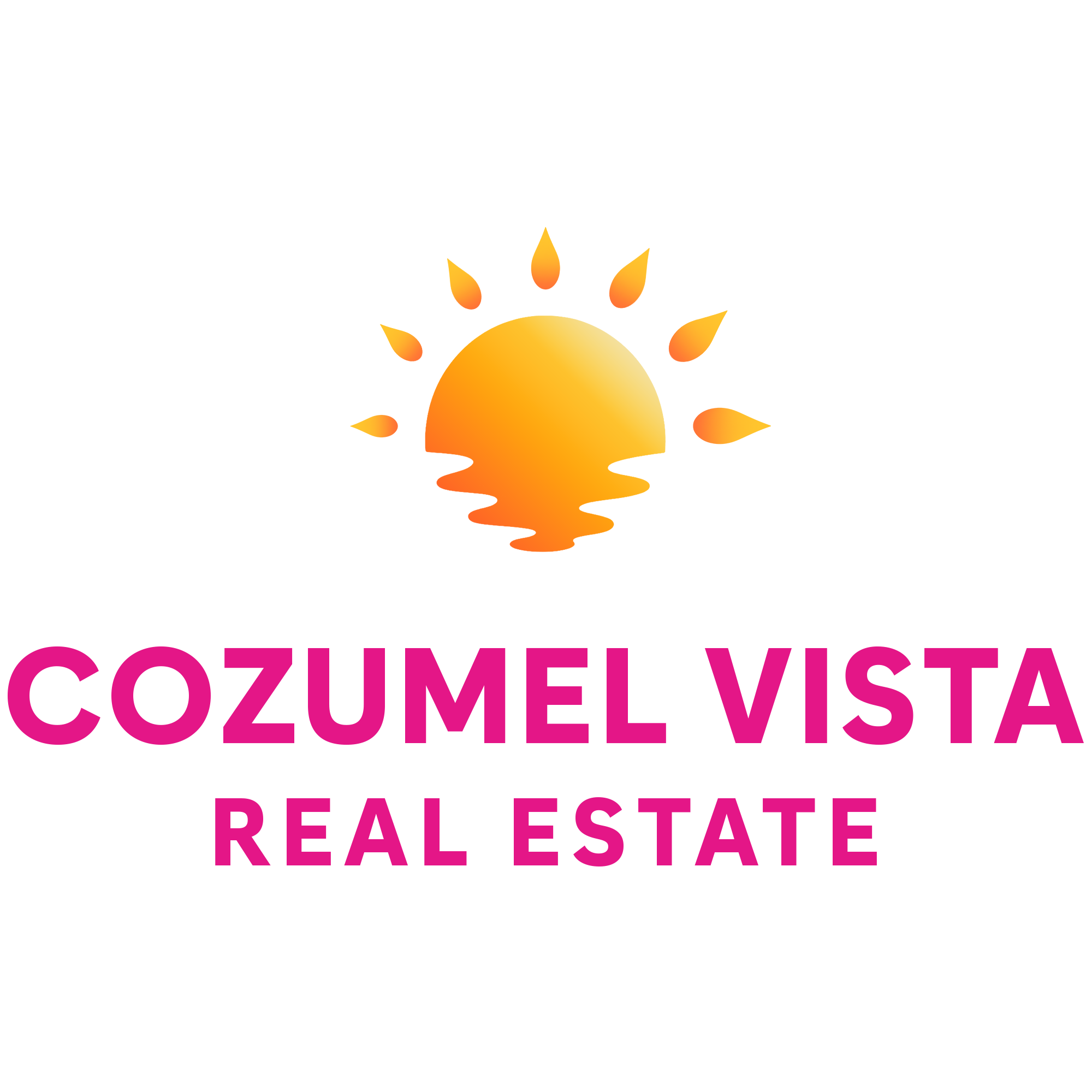 Cozumel Vista Real Estate logo