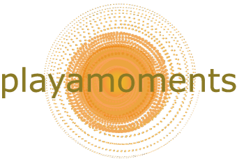Playa Moments Vacation Rentals logo